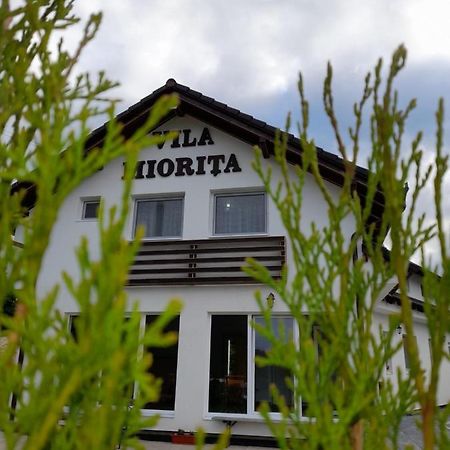 Vila Miorita Sebeş Екстериор снимка